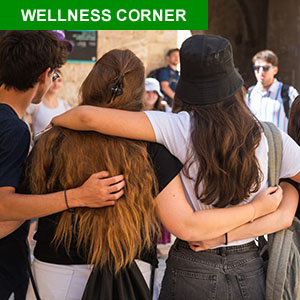 Wellness Corner 300 (2)