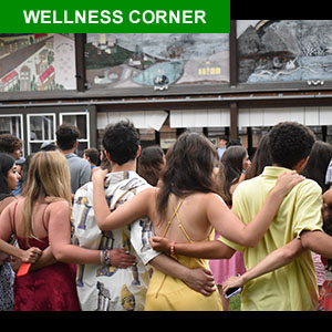 Wellness Corner 300