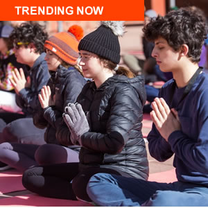 Trending Jan2020 300