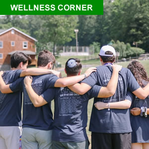 Wellness Jan2020 300