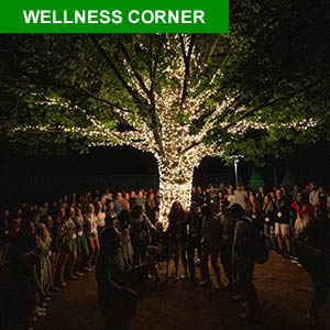 Wellness Corner 300 (1)